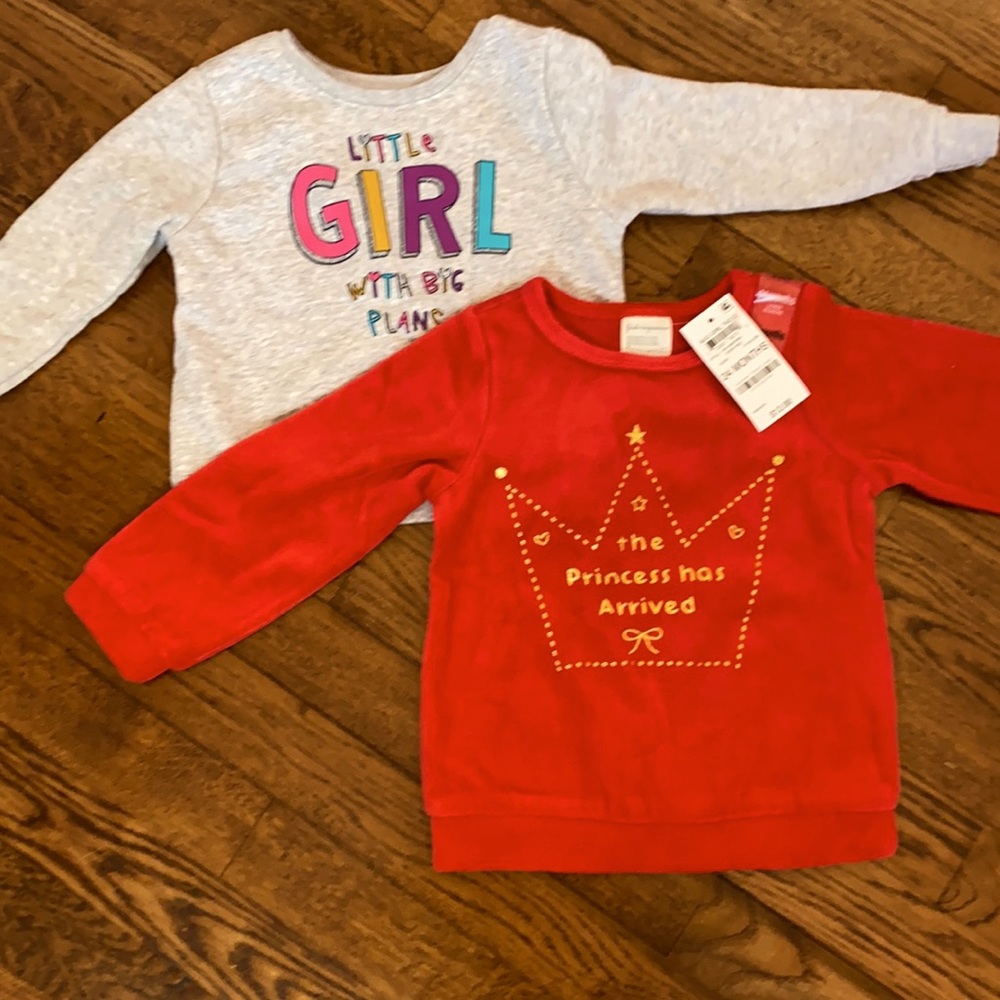 Set of 2 NEW pull over Sweatshirts for Baby Girl
